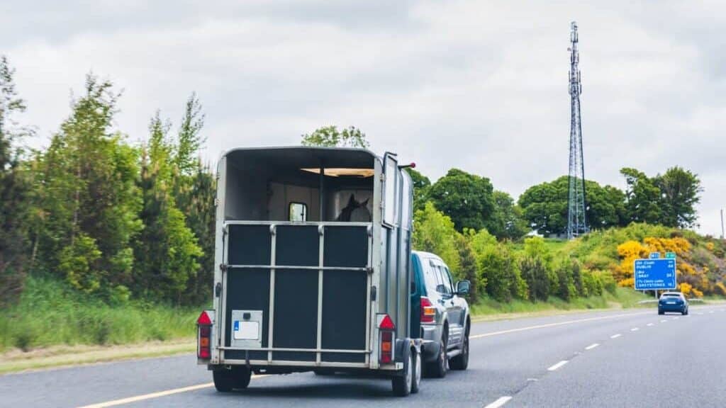Good Vehicles For Towing Horse Trailers at Brian Riggs blog