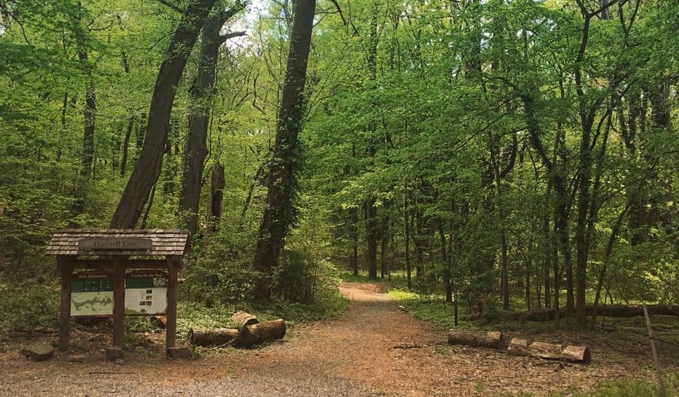 Groove is in the Hartwell Lane Trailhead Friends of Wissahickon