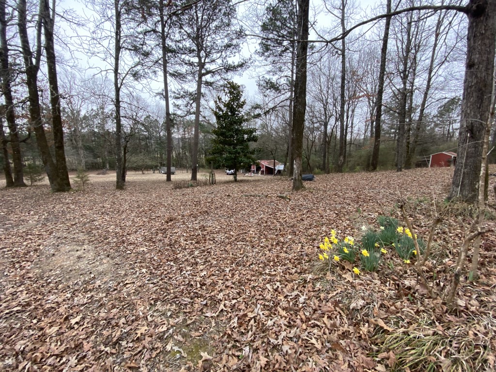 Real Estate & Personal Property Auction Glenwood, Arkansas Fowler