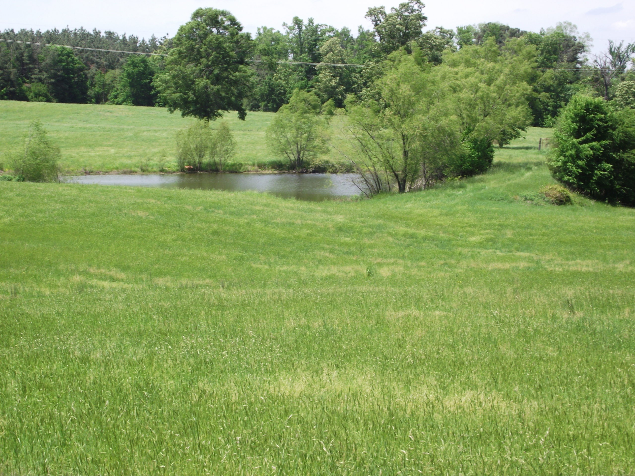 SOLD AND CLOSED *** 241,500 * 40.77+/ Farm in Glenwood, AR. 71943