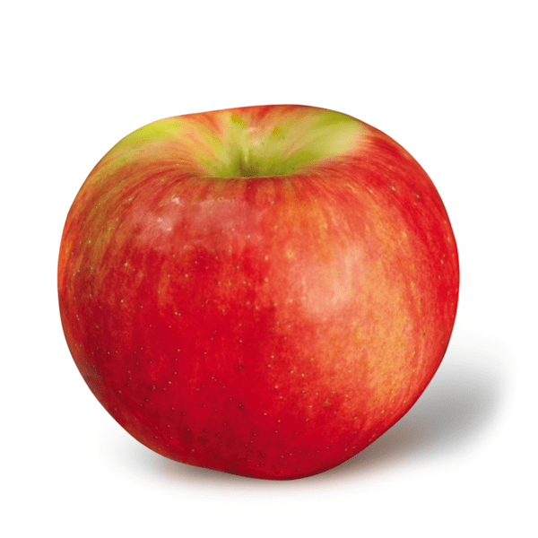 Zestar!® Fowler Farms