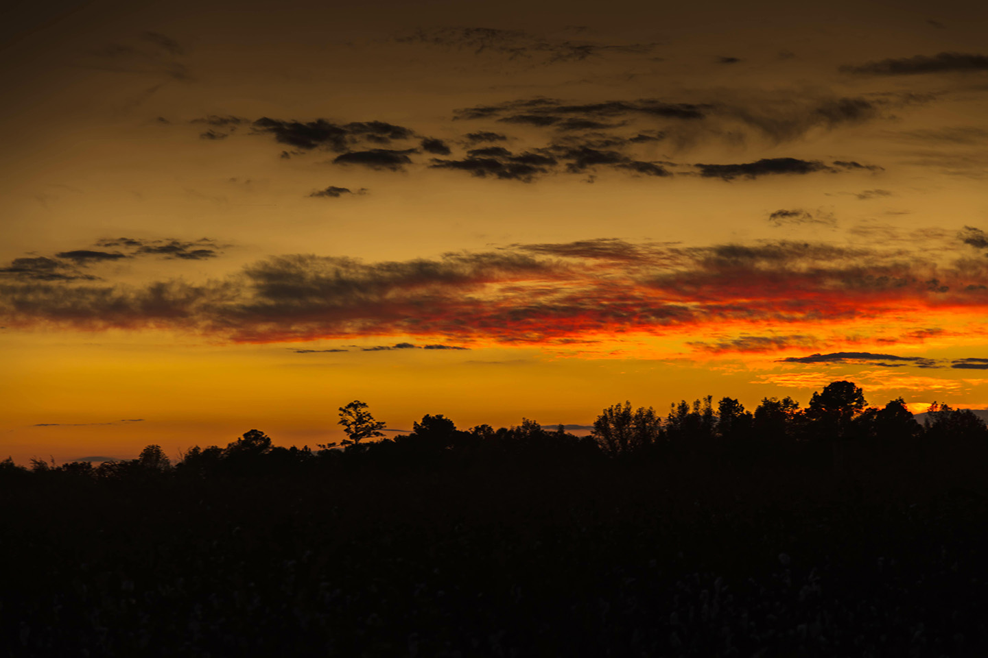 Fowler St Clair Attorneys Statesboro, GA Real Estate Law Civil