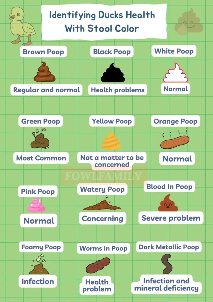 12 Variations Of Duck Poop Color Chart Fowlfamily