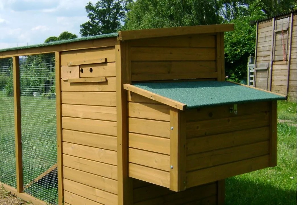 15 Best Chicken Run Ideas To Keep Your Chickens Happy