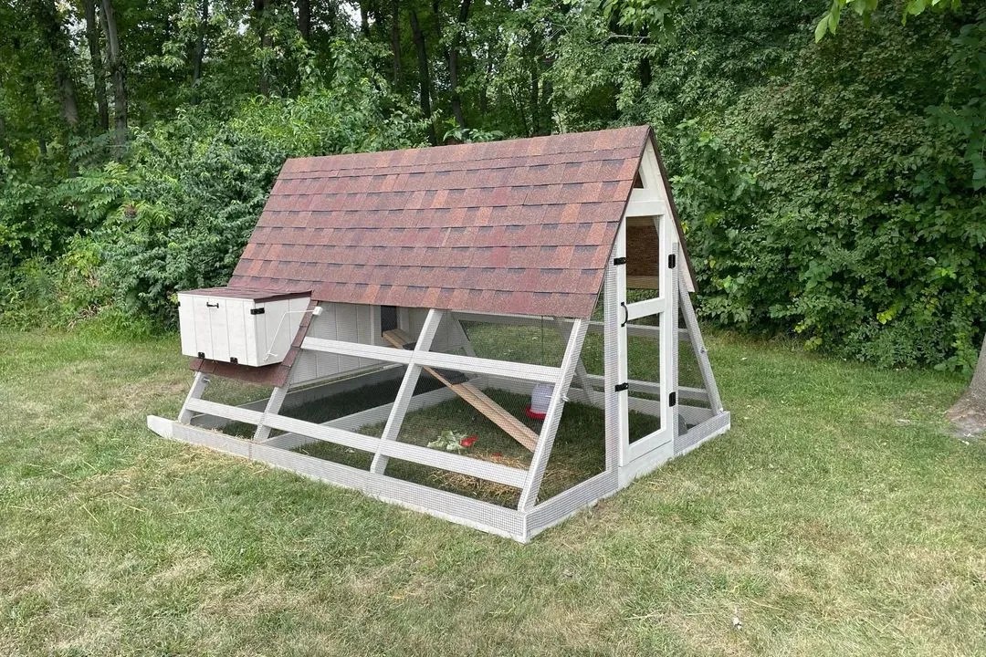 20 Amazing Frame Chicken Coop Ideas For Any Season