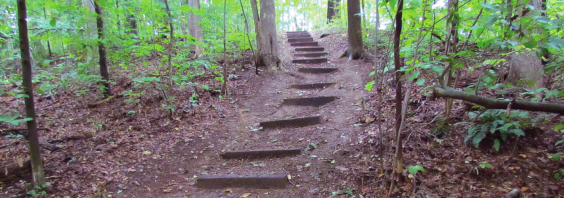 Friends of Wadsworth Trails