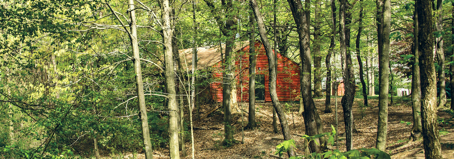 Friends of Wadsworth Trails