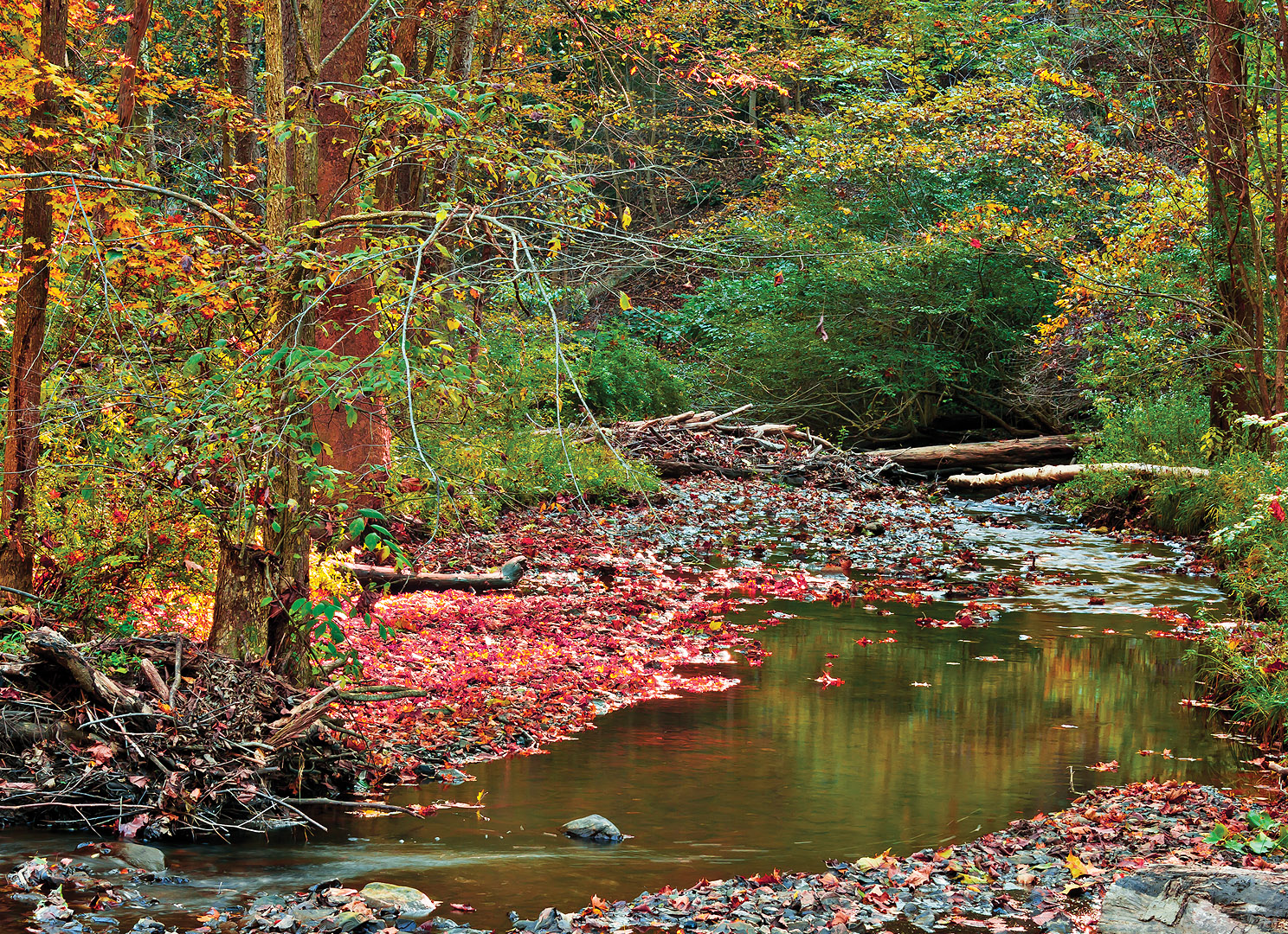 Friends of Wadsworth Trails