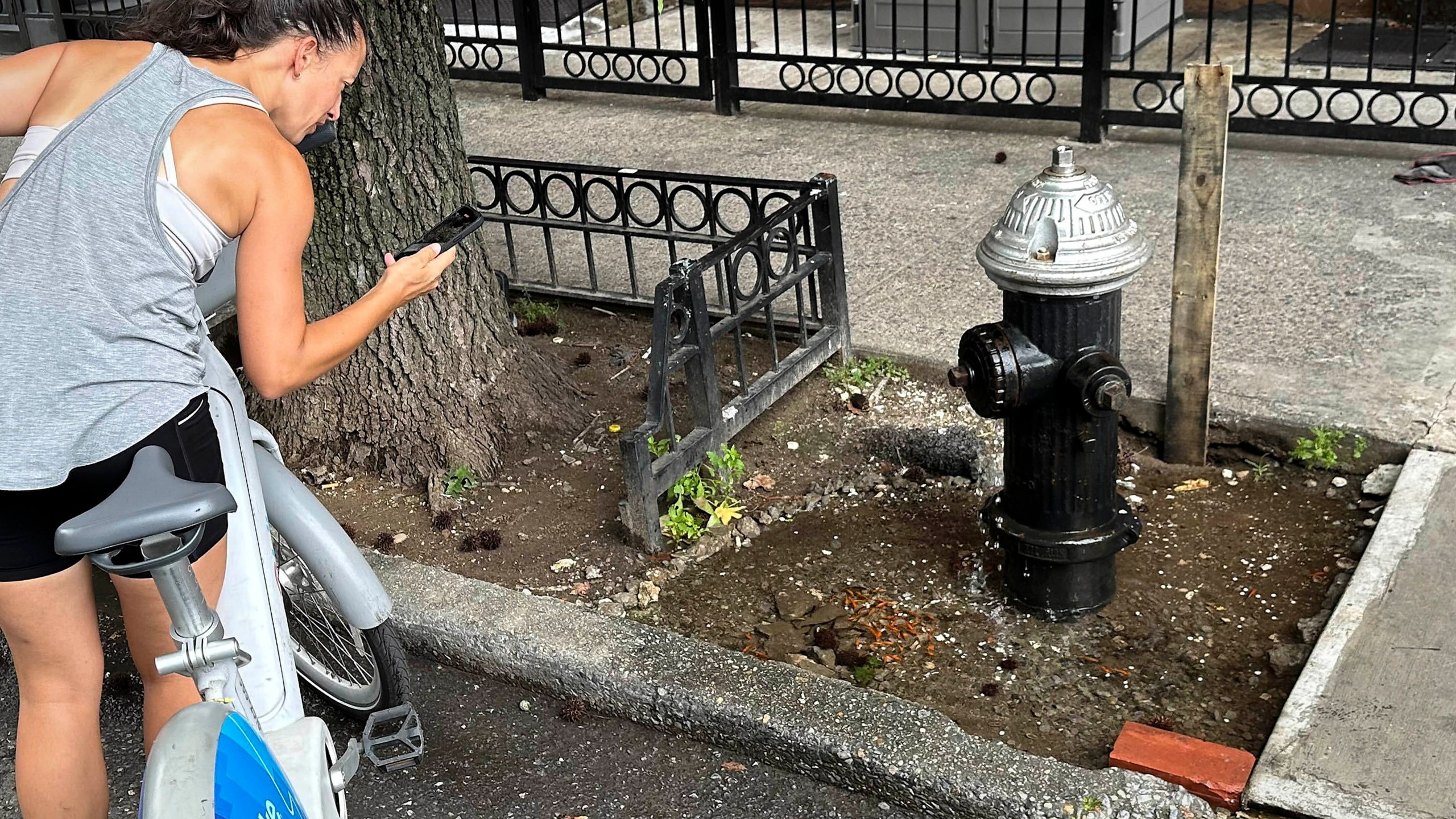 An abrupt goodbye to a guerrilla goldfish aquarium beneath a leaky