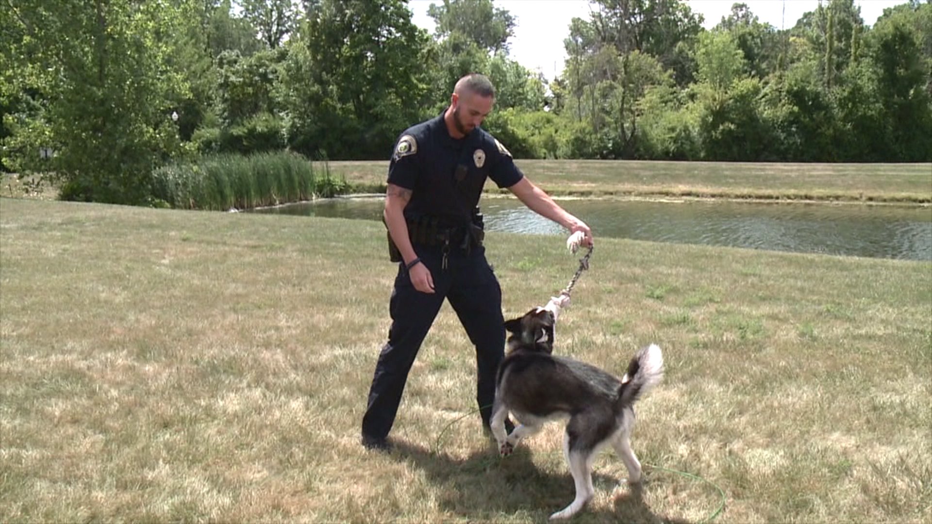 The Police Officer Who Found the Dog Abandoned in a Park by Her Owners