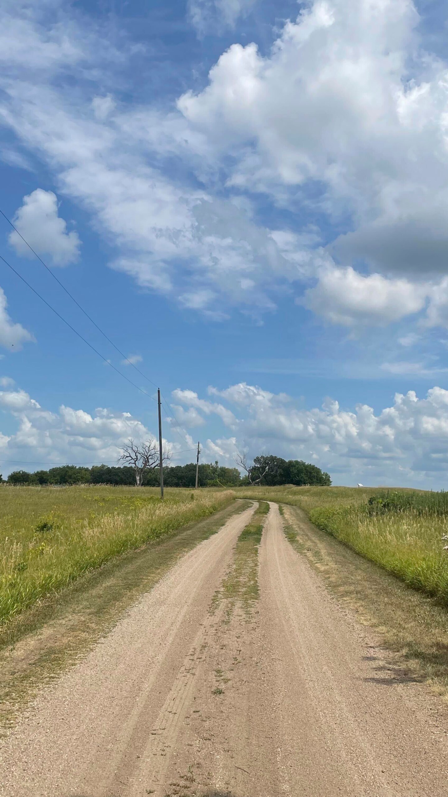 Israeli president gives broad speech to Germany’s parliament Fox 59