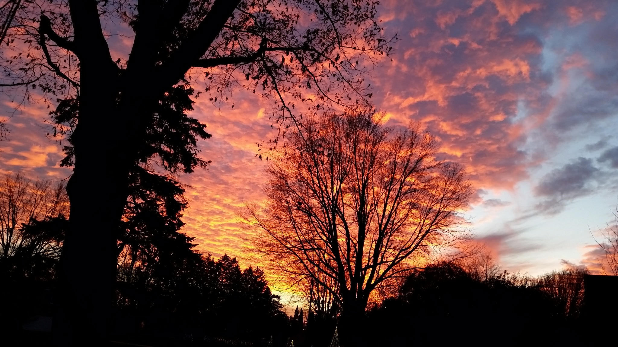 Photos Gorgeous November Sunset Fox 8 Cleveland Wjw