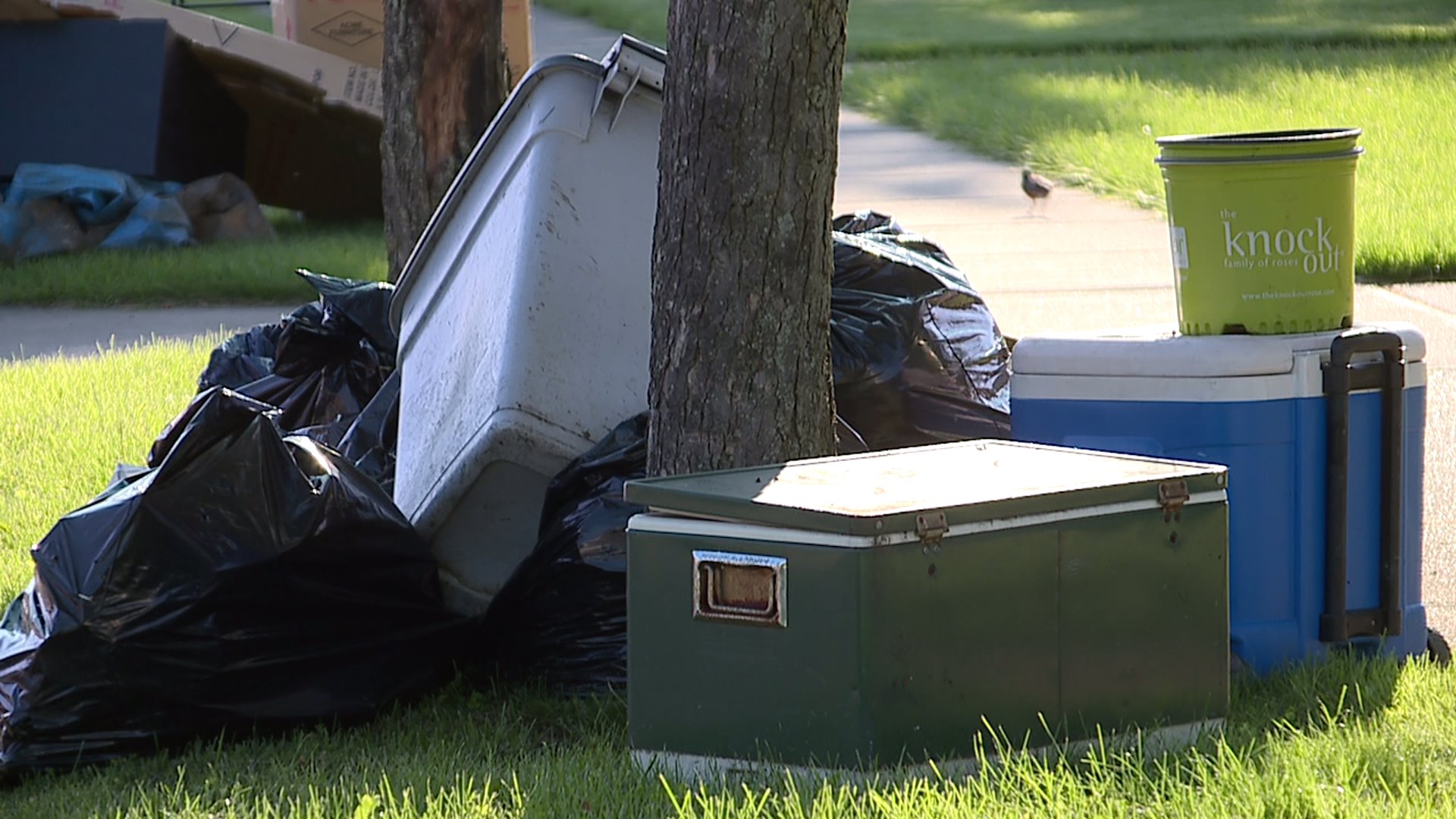 Gilbert Bulk Trash Schedule 2019