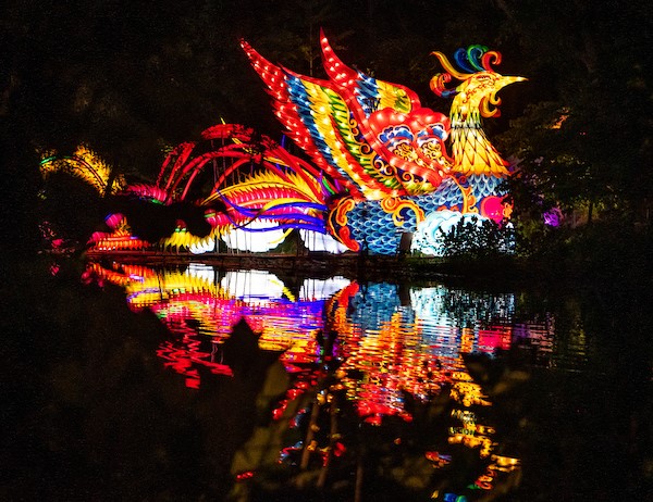 Cleveland Metroparks Zoo offers drivethru nights for Asian Lantern