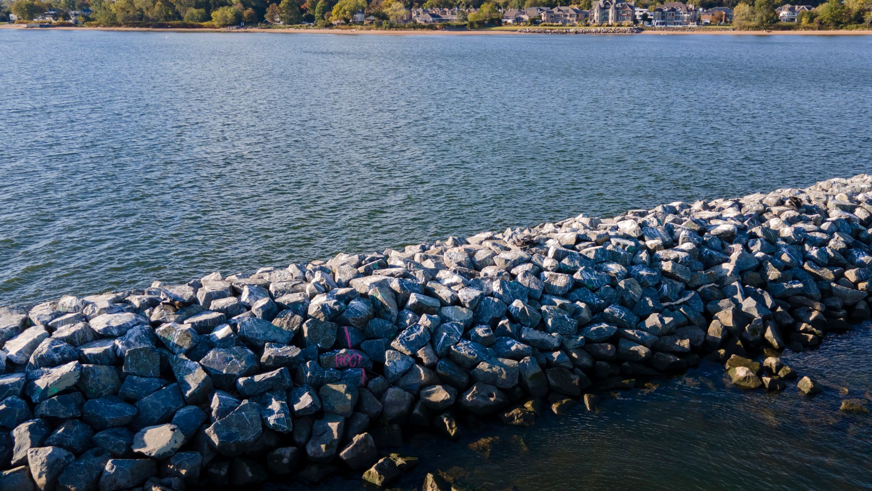 These artificial reefs off a New York City beach help sea creatures. They might also save lives