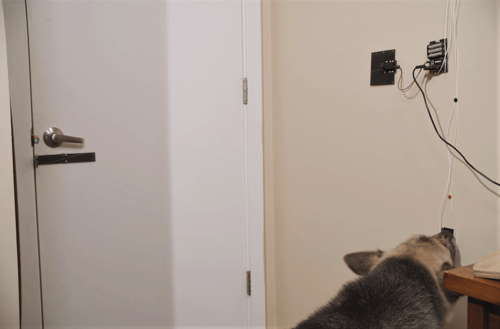 microbit Dog Door Opener FoxBot Industries