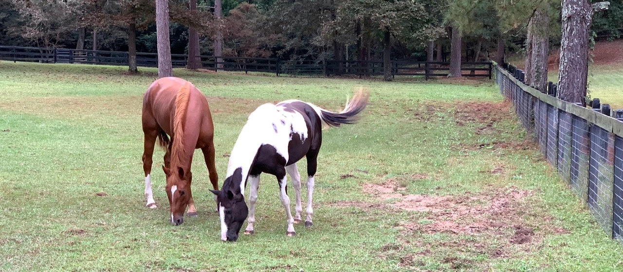 Gallery Foxchase Homes Association