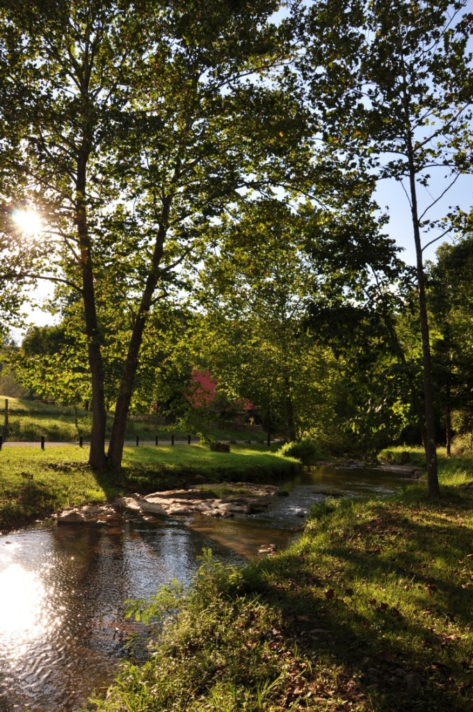 CHAPEL RIDGE FARM 170 ACRES +/ & HOME Foxfire Realty