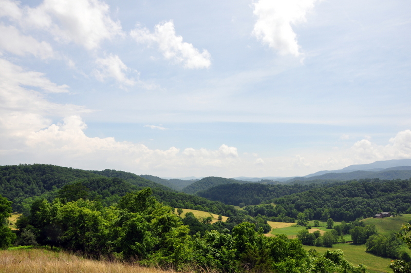 TROUT RUN CABIN 21.19 +/ ACRES, Greenbrier County Foxfire Realty