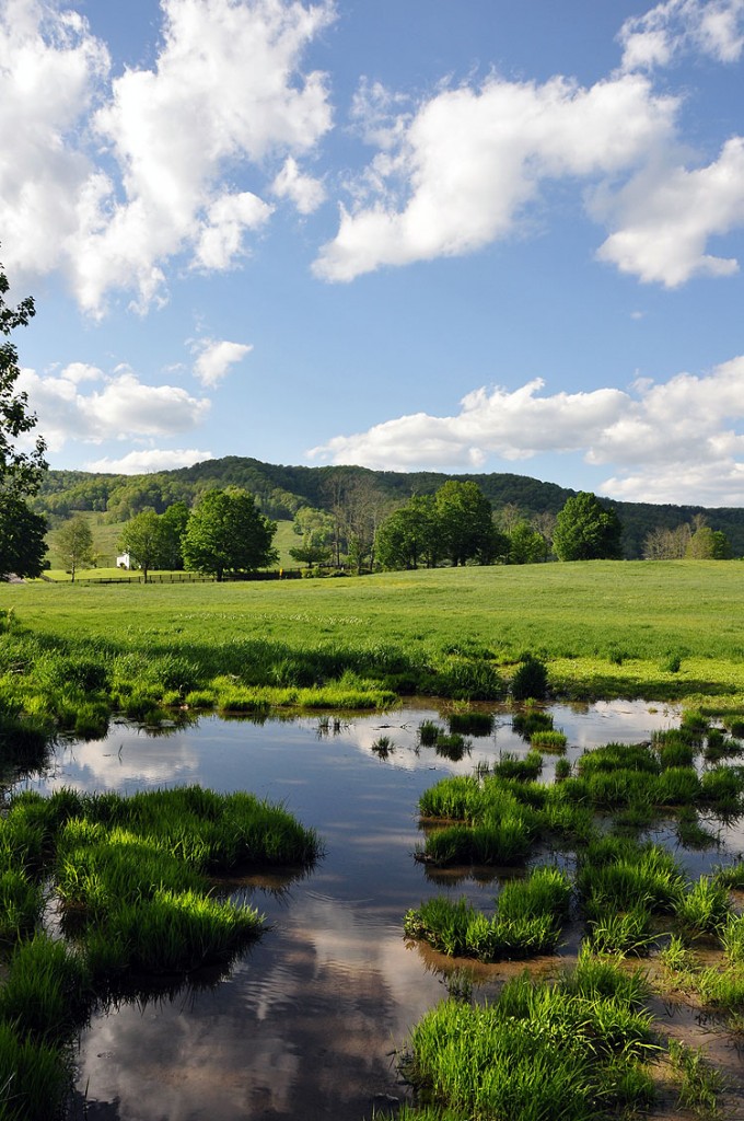 RENICK VALLEY FARM 445 +/ ACRES Foxfire Realty