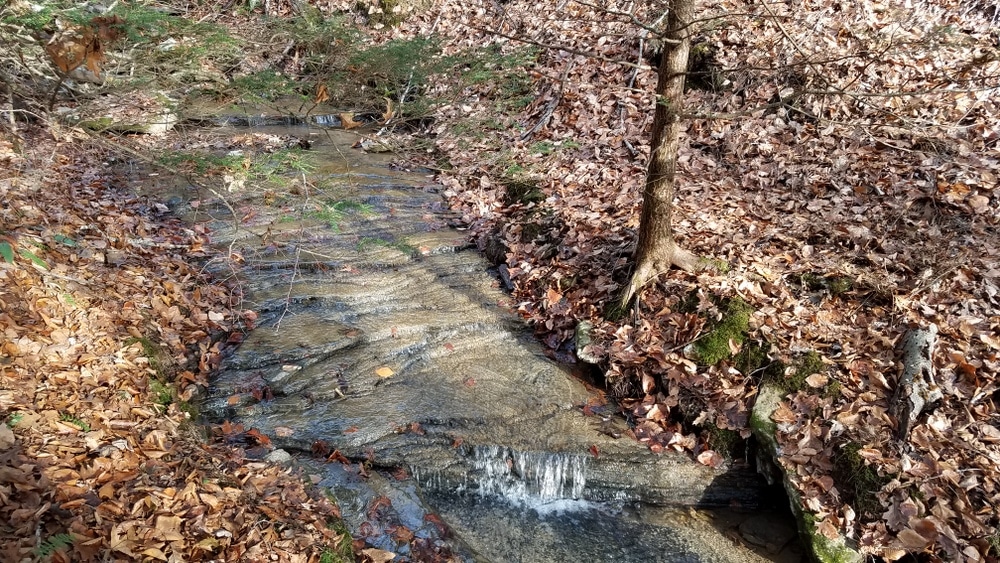 CHESTNUT RIDGE FARM Foxfire Realty