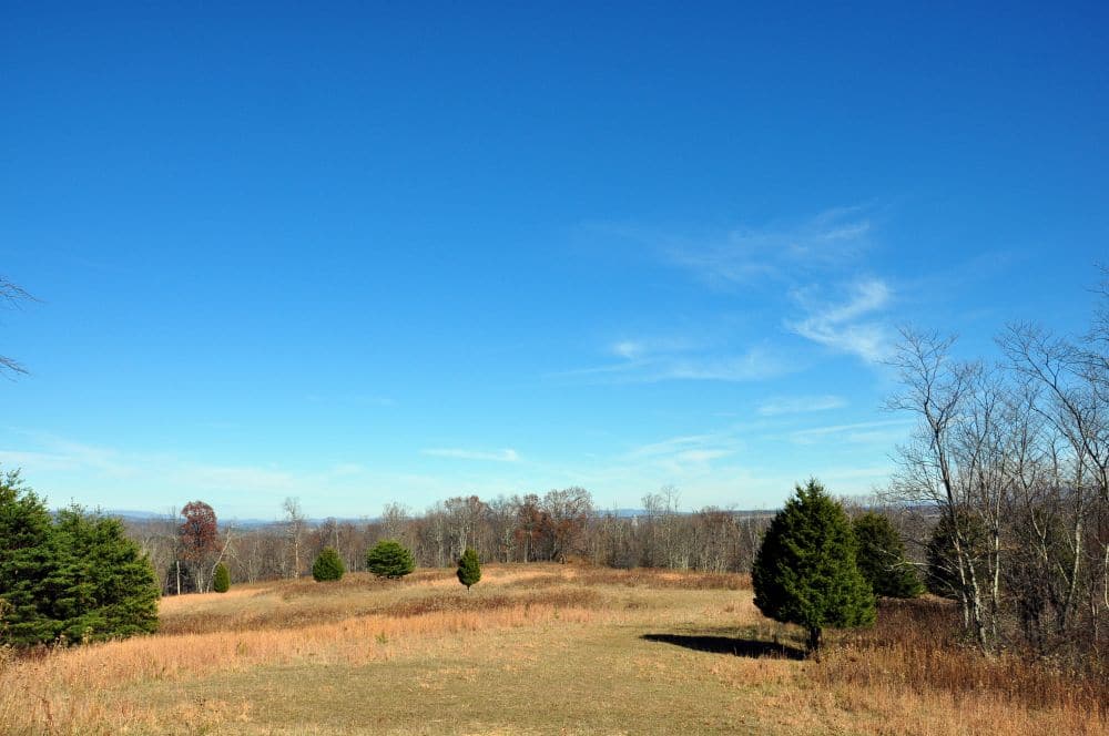 CHESTNUT RIDGE FARM Foxfire Realty