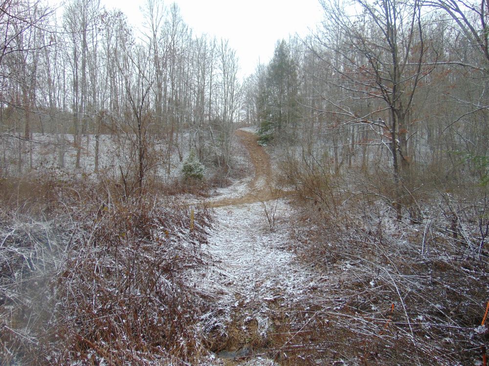 PINEY RIDGE FOREST Foxfire Realty