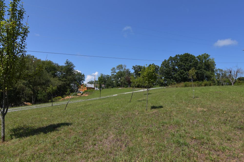 LOG CABIN RETREAT Foxfire Realty