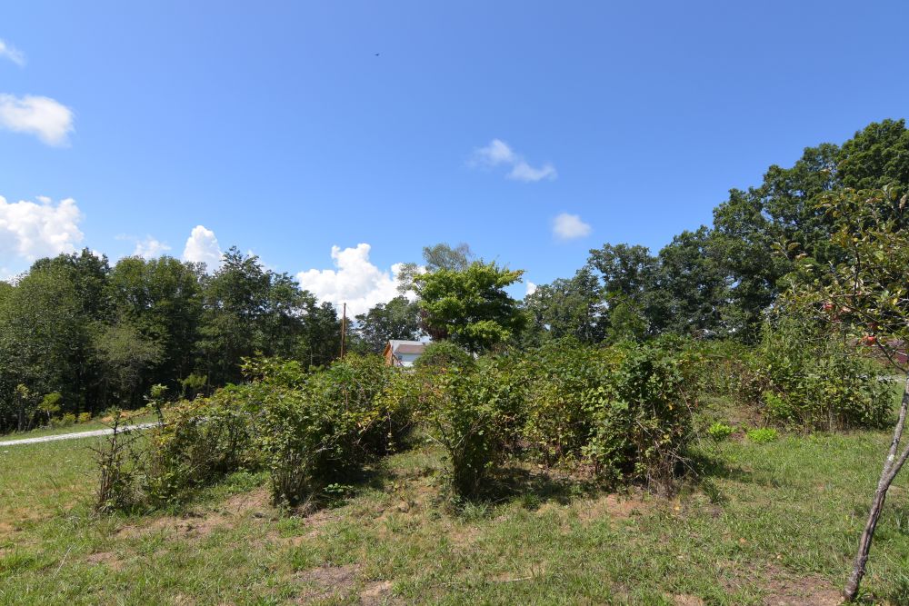 LOG CABIN RETREAT Foxfire Realty