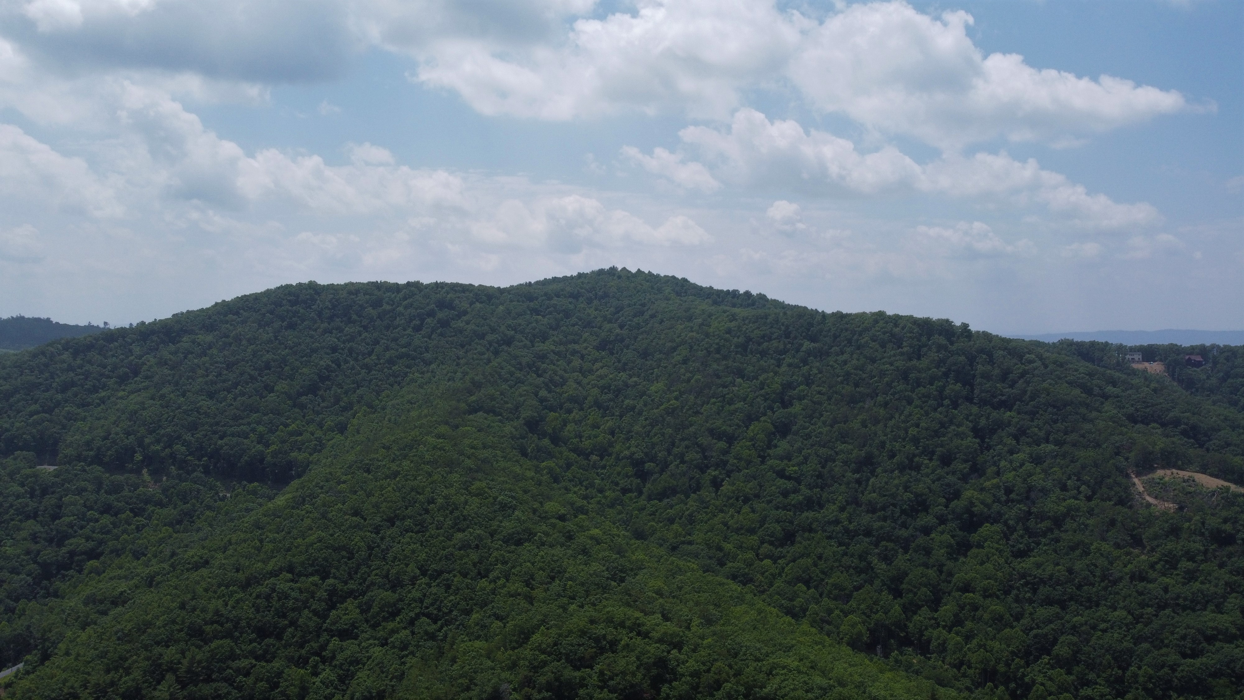 OAK RIDGE FOREST Foxfire Realty