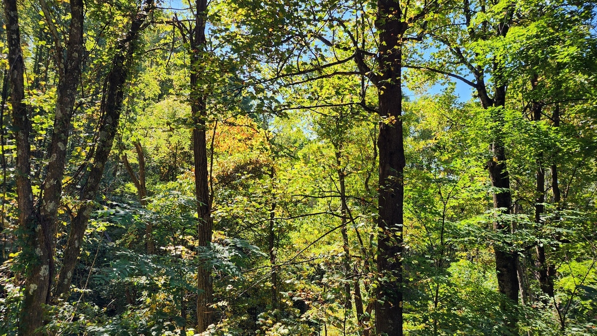 LONG VIEW ON SUNSET RIDGE Foxfire Realty