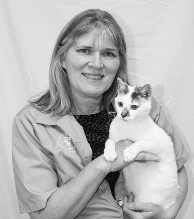 Veterinarians Fox Hill Vet