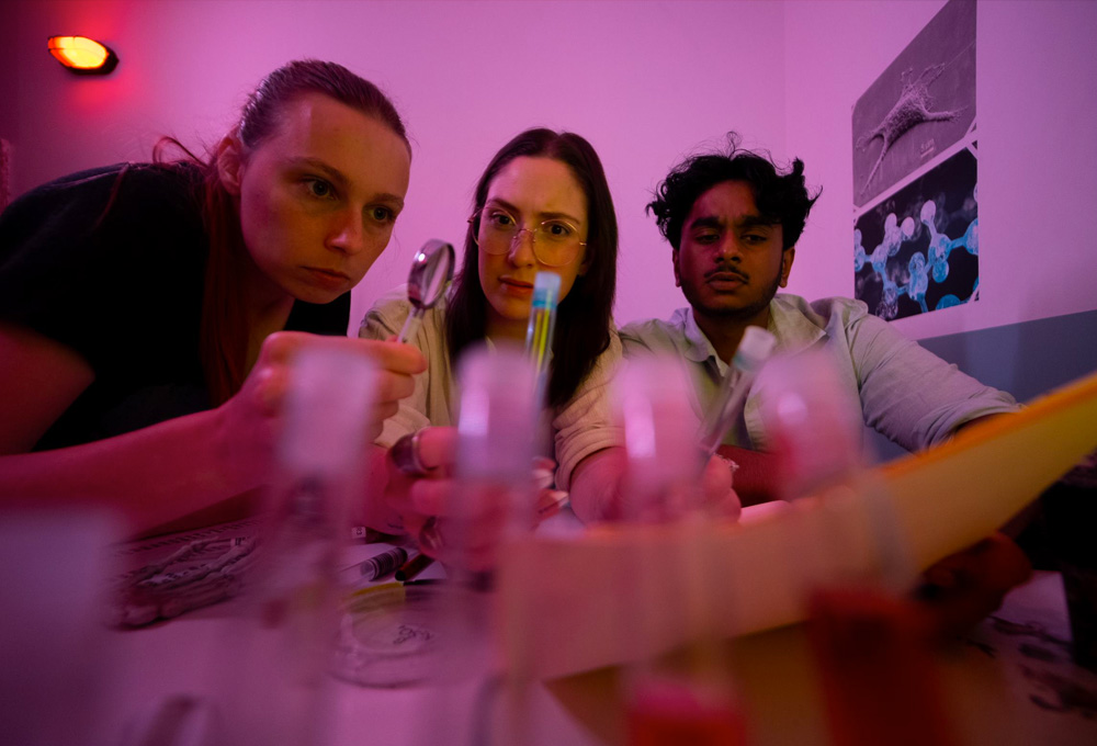 Zombie Lab Escape Room Fox in a Box