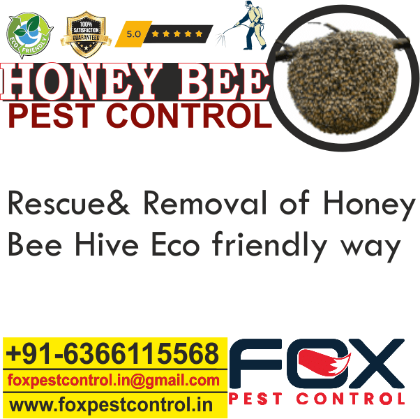 Home Fox Pest Control