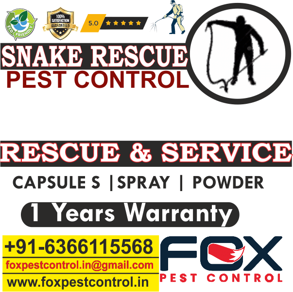 Fox Pest Control Lubbock Tx at Eva Warrington blog