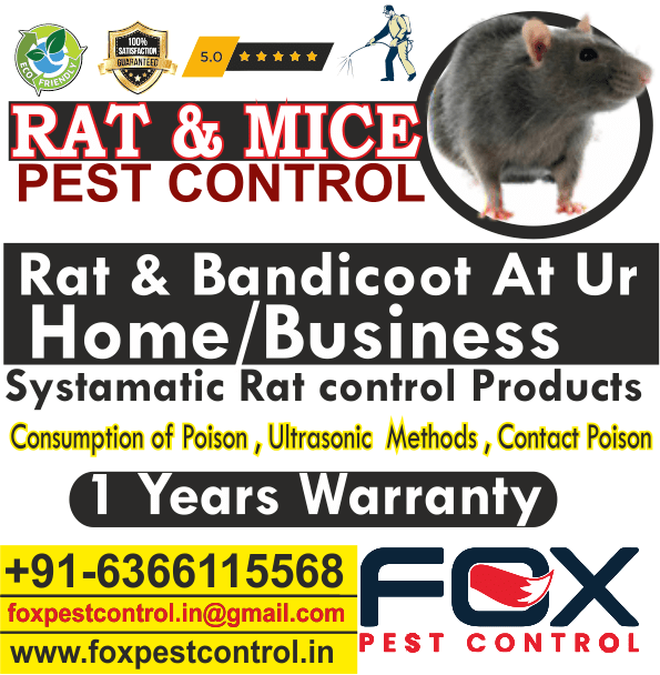 Home Fox Pest Control