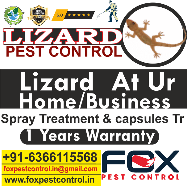 Home Fox Pest Control