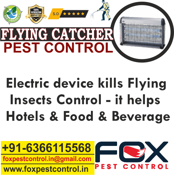 About us Fox Pest Control