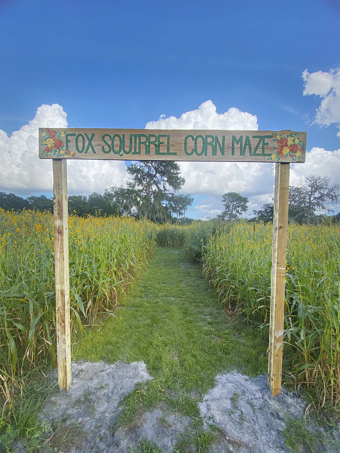 Fox Squirrel Corn Maze 2024 Saturdays and Sundays, Sep 28 to Nov 3