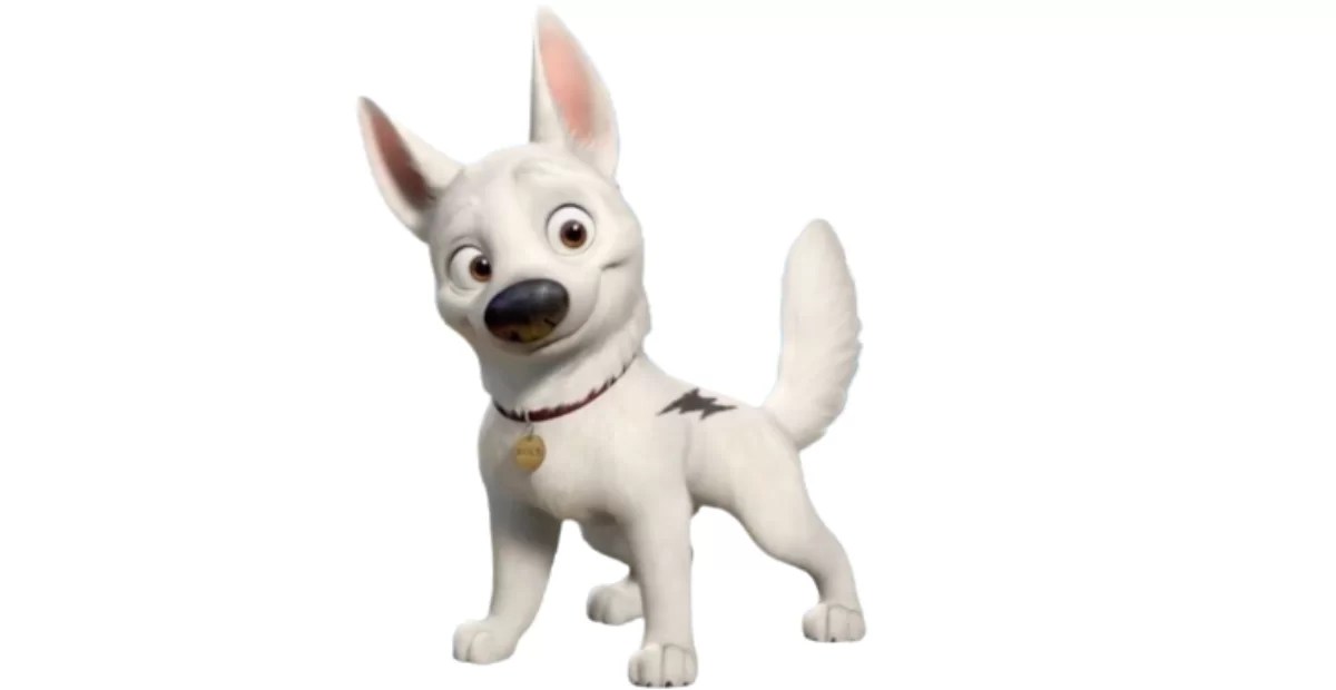 115+ Creative & Unique Baseball Dog Names Idea FoxyNamer