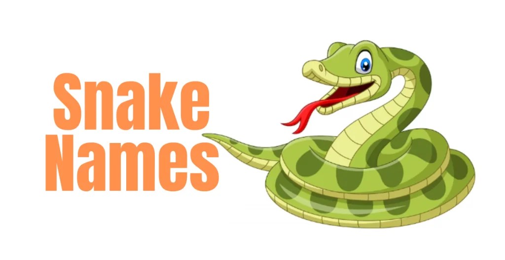 500+ Snake Names Unique Creative Interesting & Funny Ideas