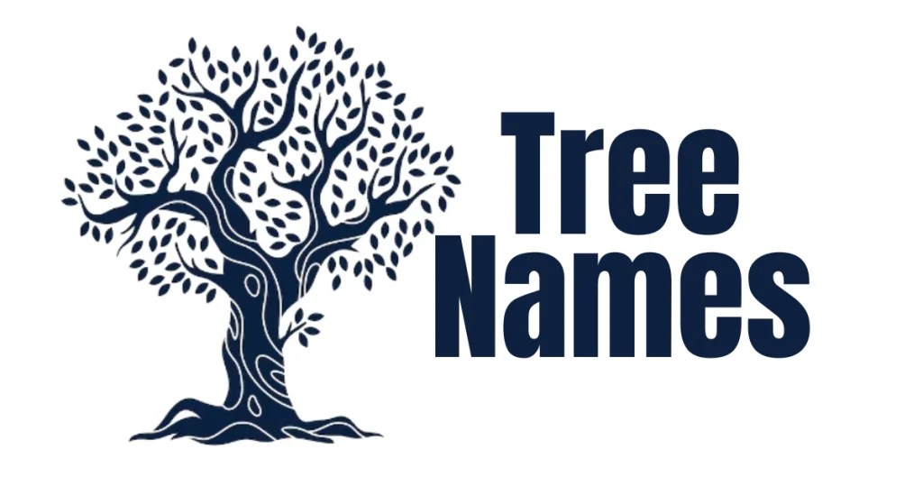 500+ Tree Names Unique Cool Creative & Interesting Ideas