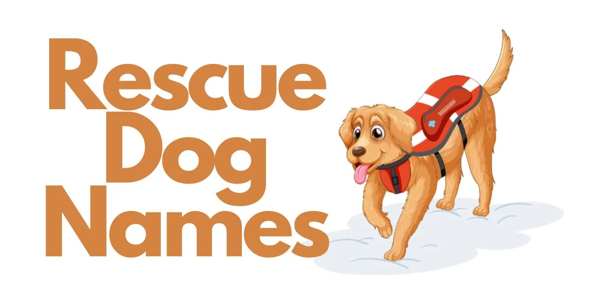 530+ Rescue Dog Names Cool Unique Interesting & Creative