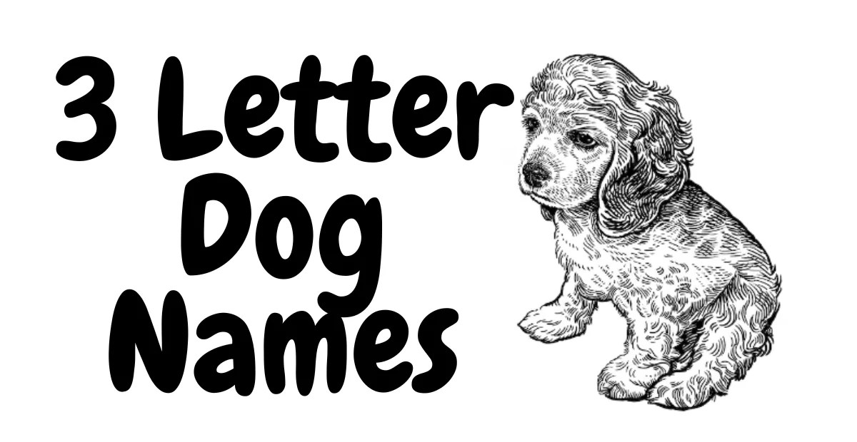 570+ 3 Letter Dog Names Cool Unique Creative & Interesting