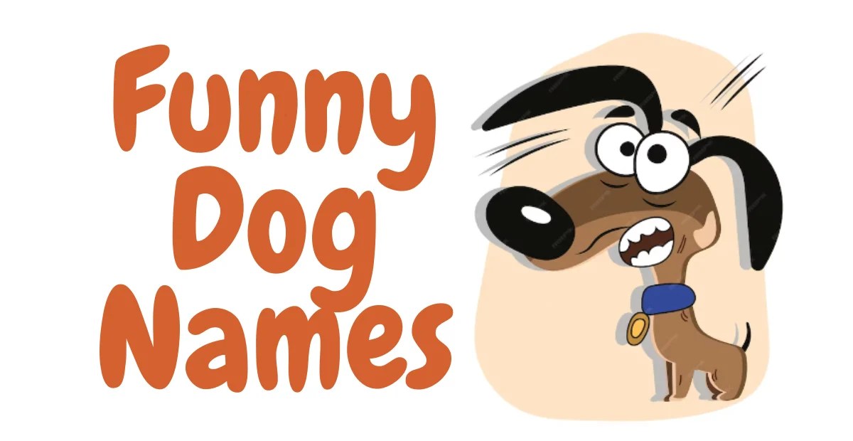 530+ Funny Dog Names Cool Unique Creative & Hilarious