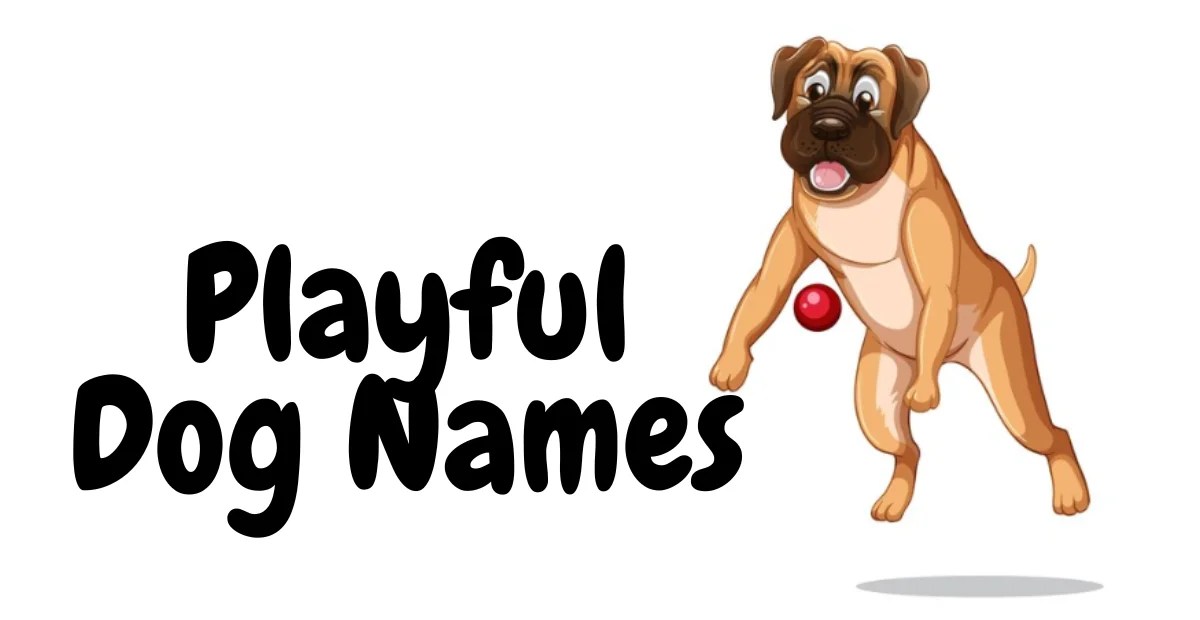 Playful Dog Names Fun and Lively Ideas for Your Canine Companion