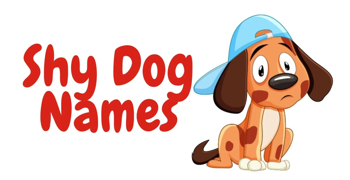 470+ Shy Dog Names Cute Unique Creative Catchy & Funny Idea
