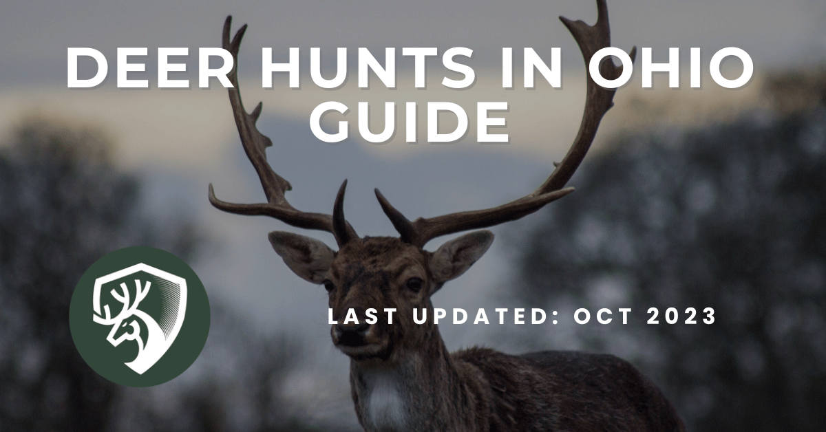 Deer Hunts In Ohio Guide [2023 Update]