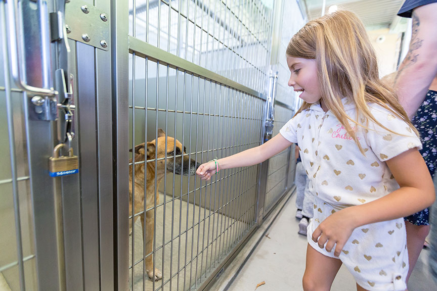 Grand opening at El Cajon Animal Shelter fetches large crowd
