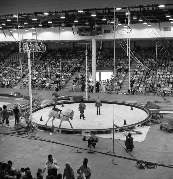 Florida Memory Shrine Circus horse act at the Robarts Arena in